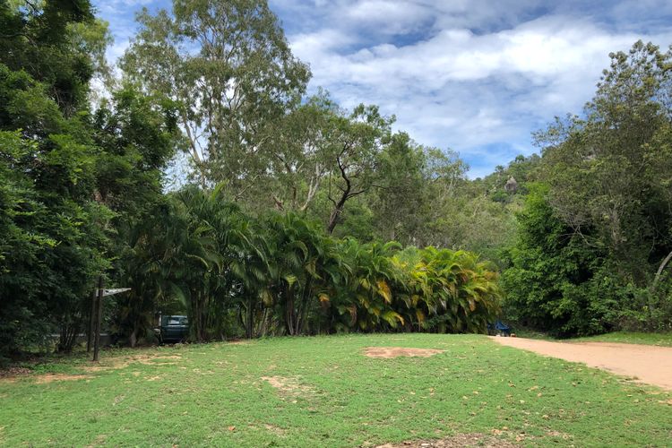 Large open garden