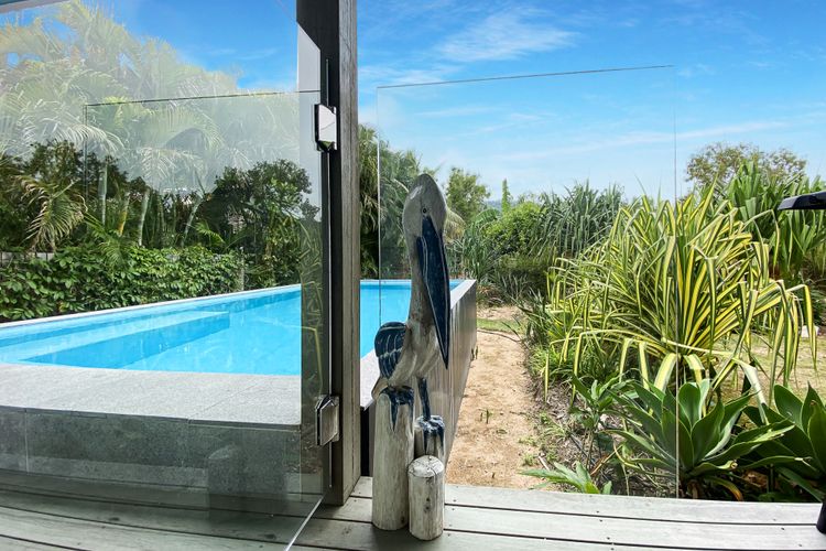 White Pandanus