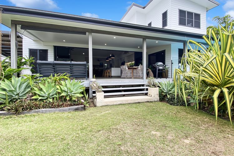 White Pandanus