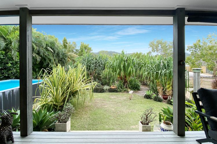 White Pandanus