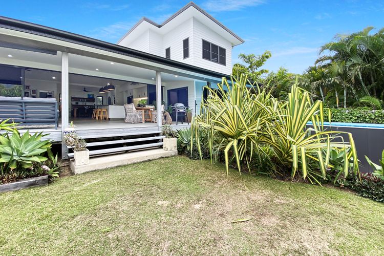 White Pandanus