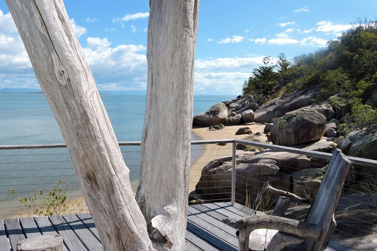 Driftwood