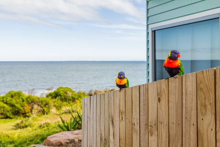 Ocean Views, 4 Ocean Street – air conditioned luxury with beautiful ocean views