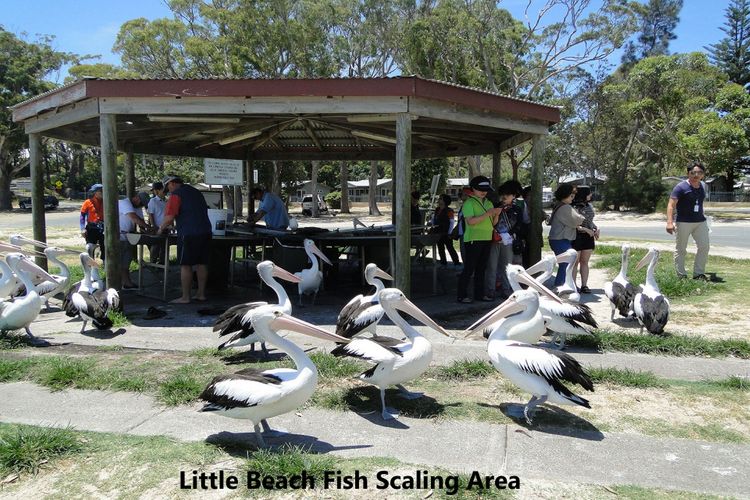 Veronica Court 1, 4 Weatherly Cl – Between Little Beach & Shoal Bay Beach,
