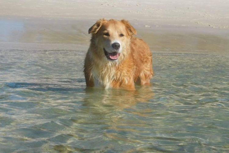 32 Degrees South, 40 Government Rd – Pet Friendly, Linen, Air Con, WiFi