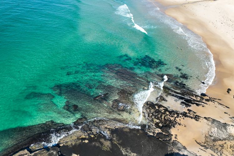 Pacific Chillz