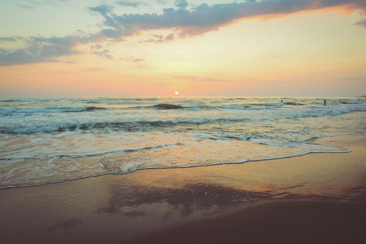 Marine Boutique Studio – Ocean View