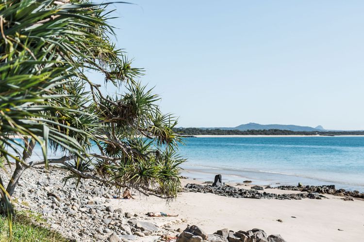Tea Trees One – beach apartment and location!