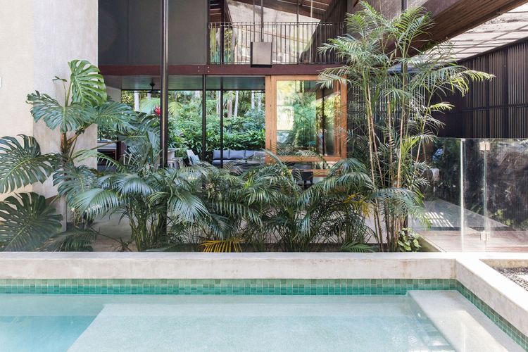 The Rainforest Retreat, Little Cove