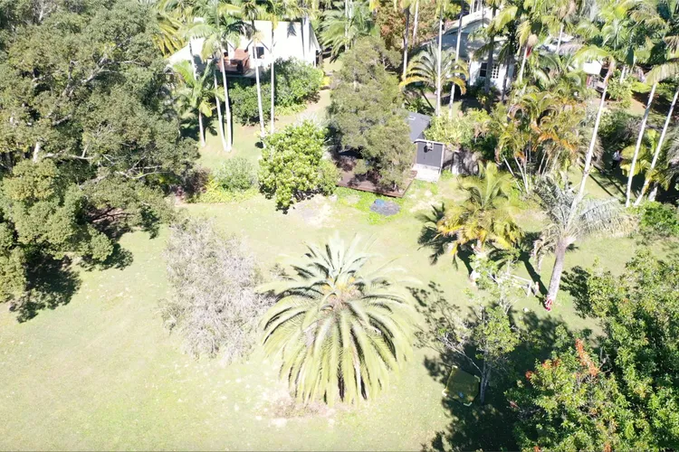 Byron Hinterland Escape immersed in nature