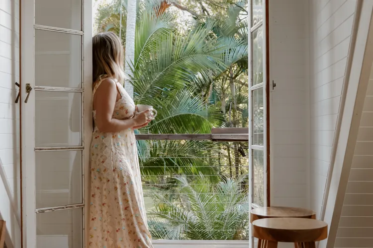 Byron Hinterland Escape immersed in nature