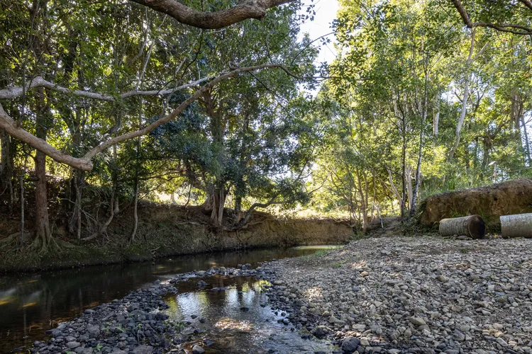 Byron Hinterland Escape immersed in nature