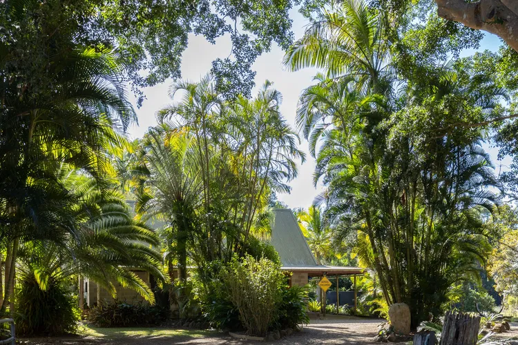 Byron Hinterland Escape immersed in nature