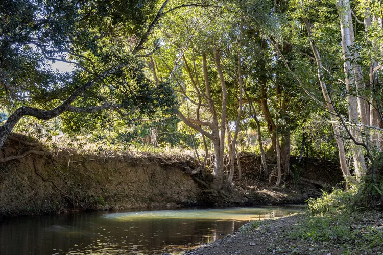 Byron Hinterland Escape immersed in nature