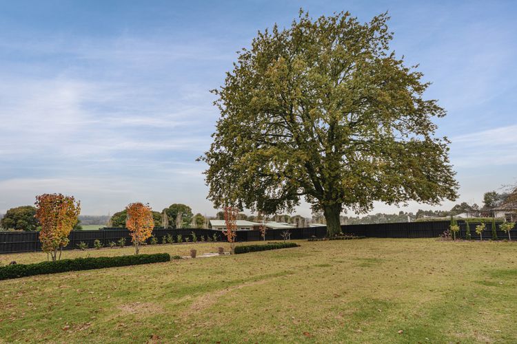White Oaks