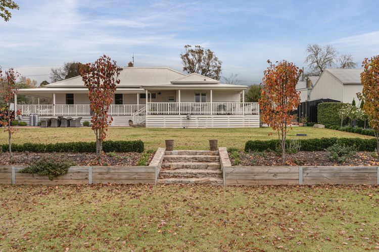 White Oaks