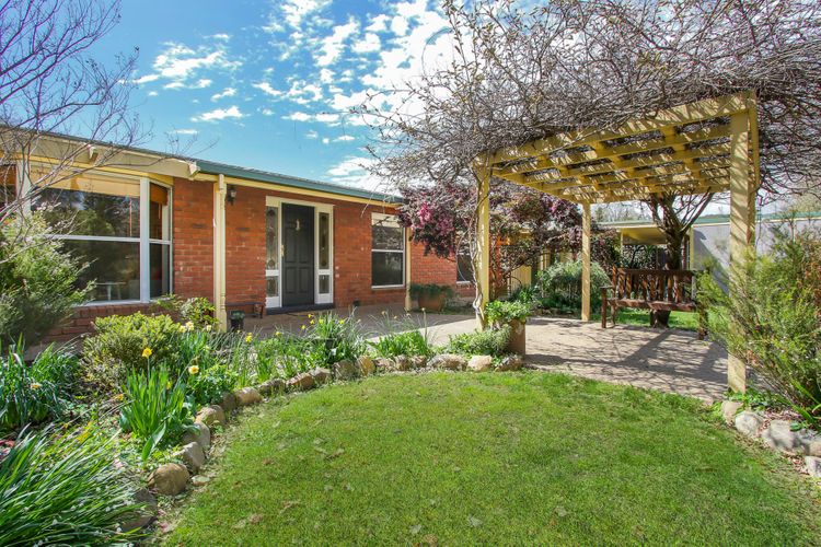Cherry Lane – Close to the heart of Bright
