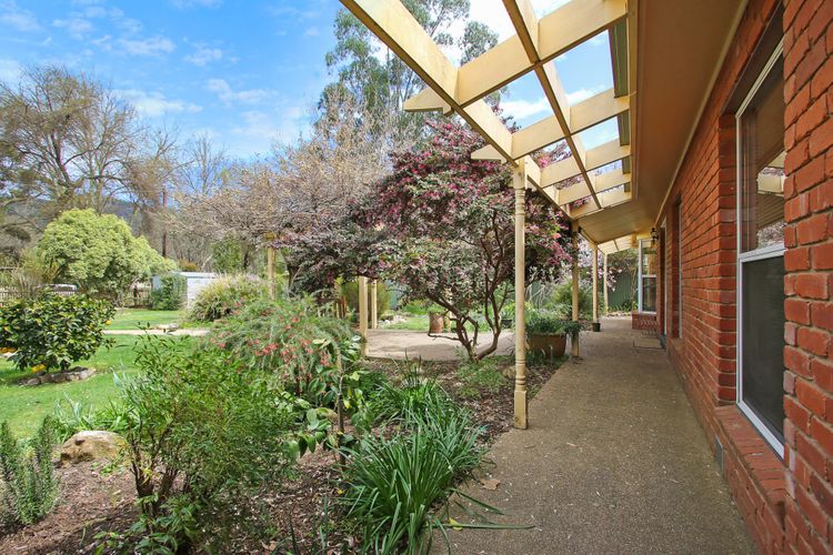 Cherry Lane – Close to the heart of Bright