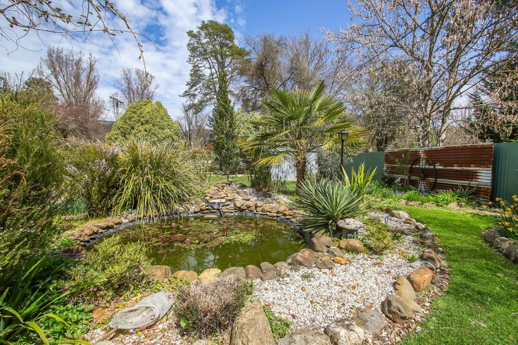 Cherry Lane – Close to the heart of Bright