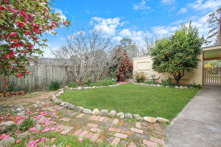 Cherry Lane – Close to the heart of Bright
