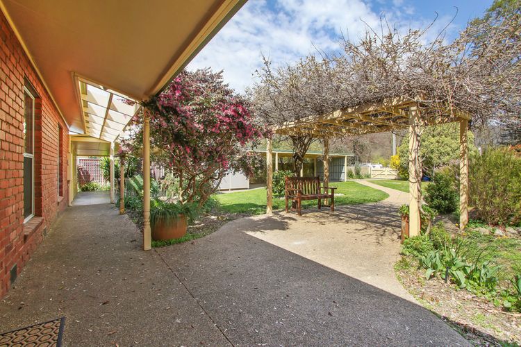 Cherry Lane – Close to the heart of Bright