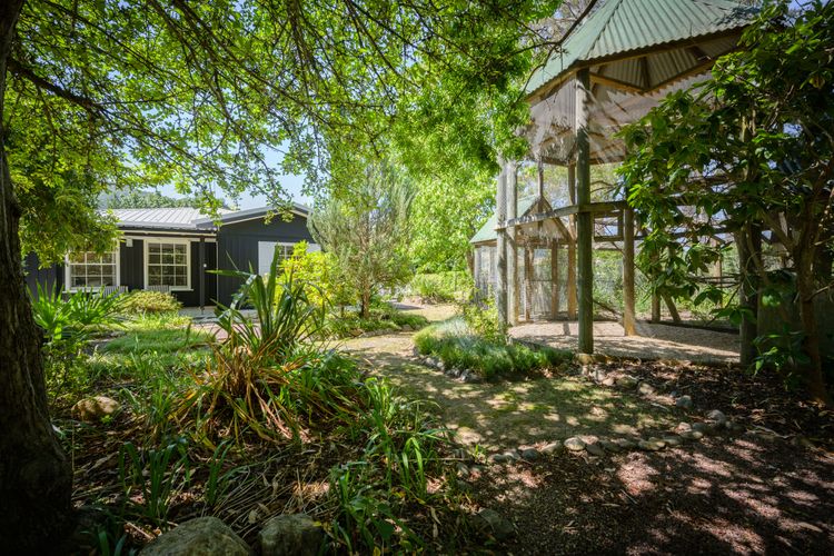 Golden Pine Retreat