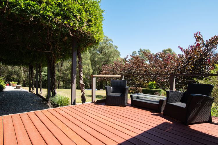 Bluegum