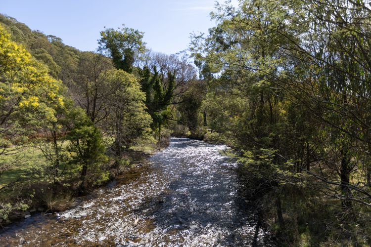 Harrietville on the Ovens