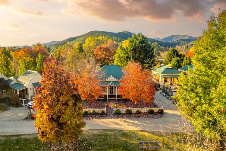 Autumn Beauty – Mountain View Cottage 3