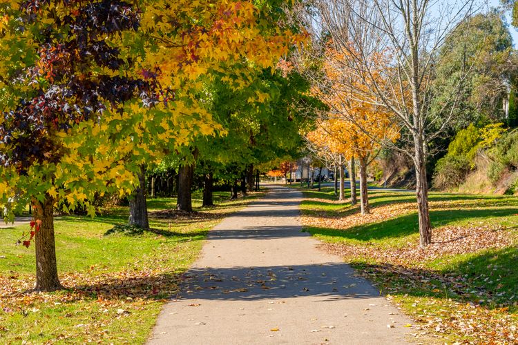 Autumn Beauty – Country Cottage 7