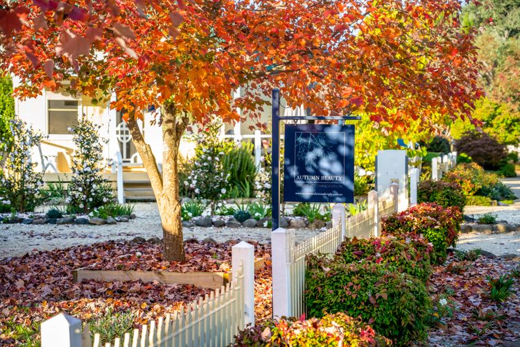 Autumn Beauty – Country Cottage 7