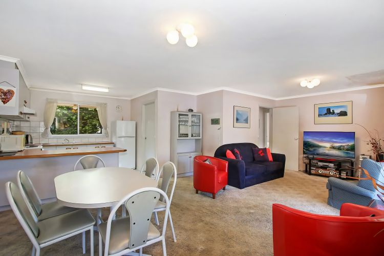 Onocay House Bright Victoria