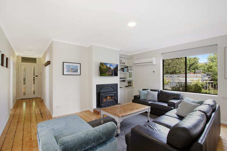 Cobden & Wills + Studio