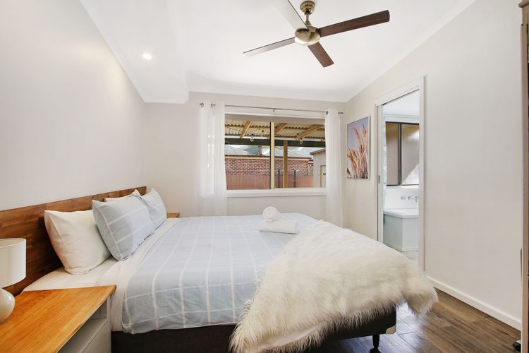 Cobden & Wills + Studio