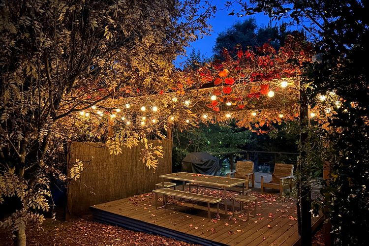 Seasons on Mystic