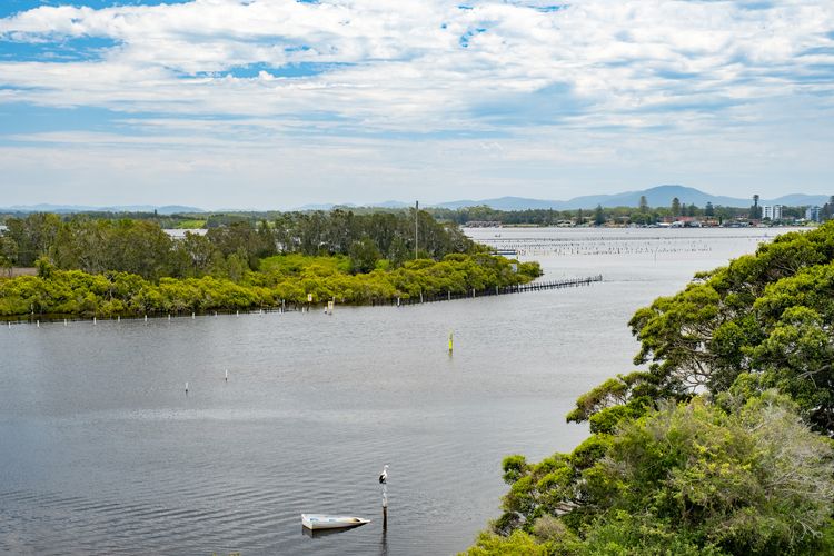 Regatta 23