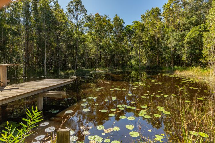 Blueys Beach Farm