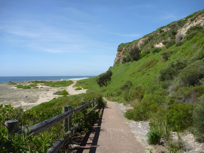 Sunlit Family Retreat – 500m to Beach