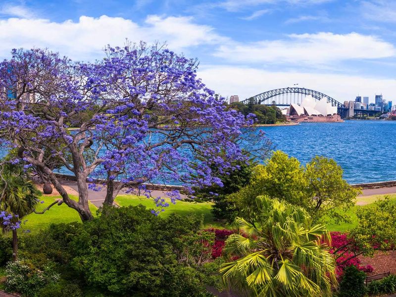 Central Sydney 1-Bed APT w/ Pool, Gym, Parking!