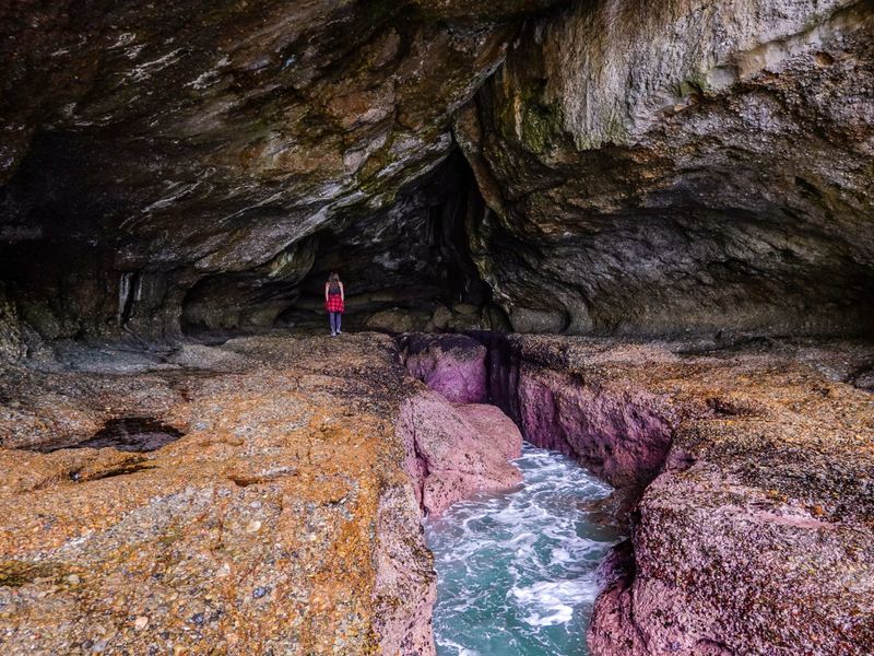 Munmorah State Conservation Area: 12 km