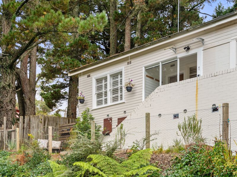 Charming Side Entrance: The welcoming side of the property with a cozy bench and a lovely garden corner.
