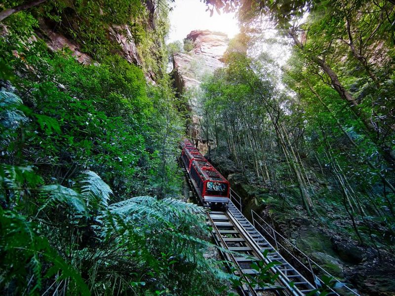 Scenic Railway
