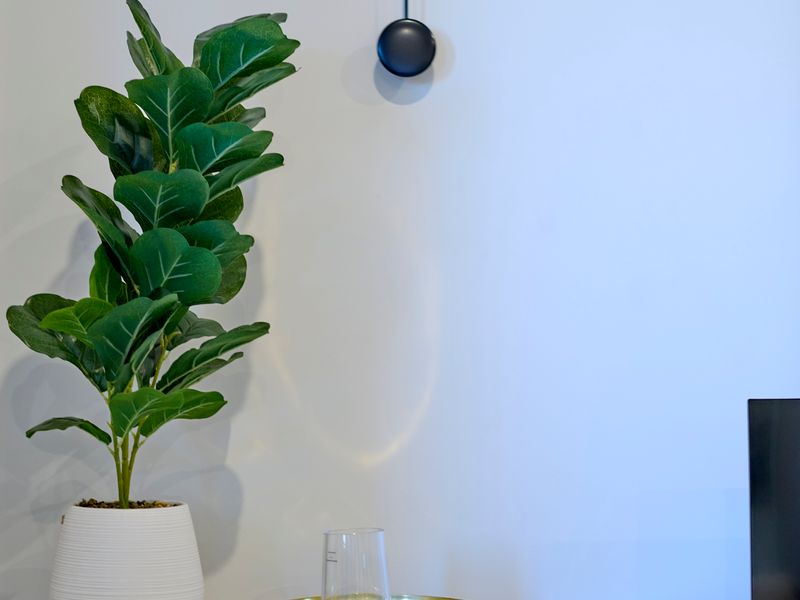 The Perfect City Pad | Elegant 1BR Near It All