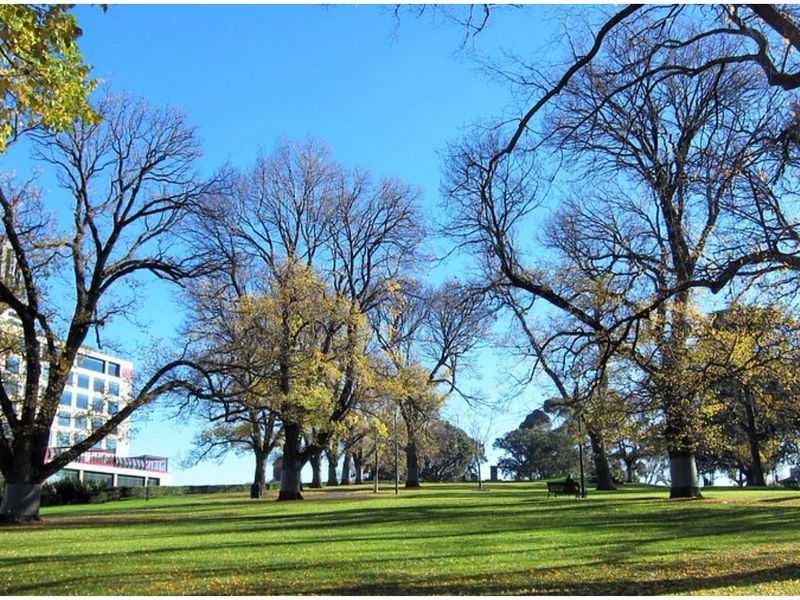 Flagstaff Gardens