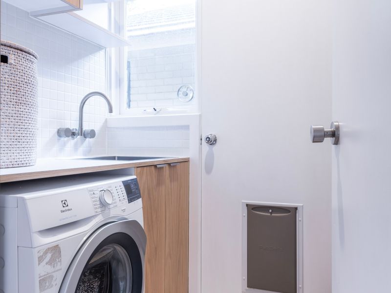 Washer for laundry needs