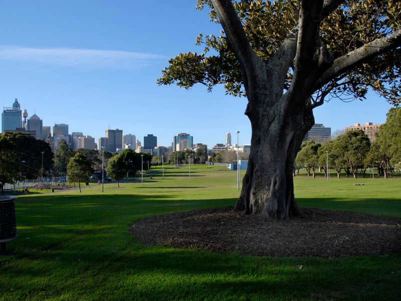 Royal Botanic Garden