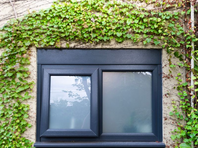 Tranquil North Melbourne Stay with Patio & Parking