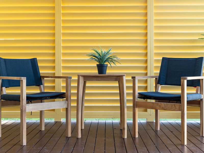 The Lazy Mimosa Retreat