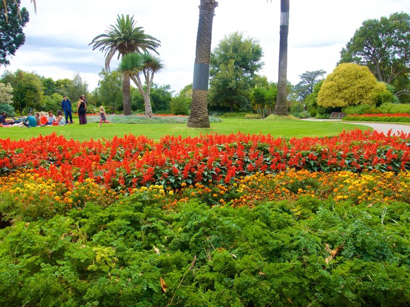 St Kilda Botanical Gardens