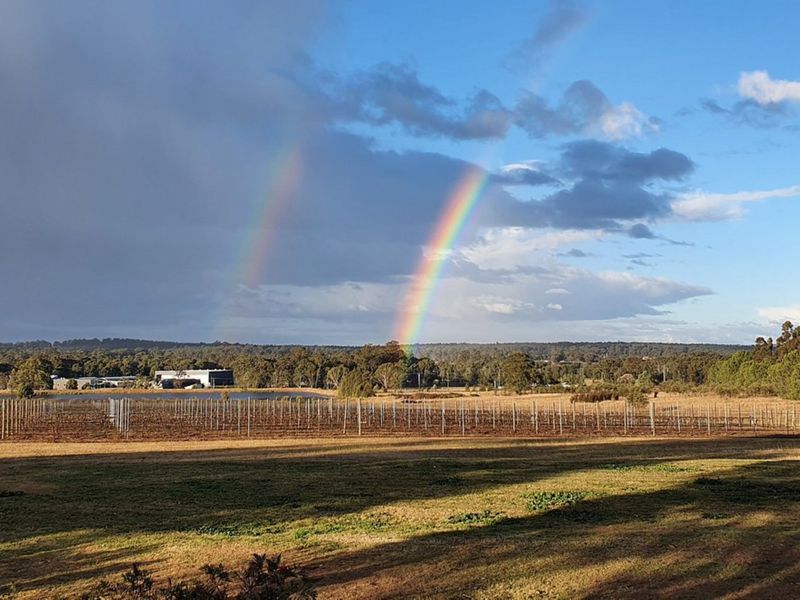Ernest Hill Wines